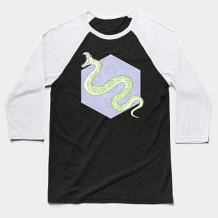 Why'd it have to be snakes? Baseball T-Shirt
